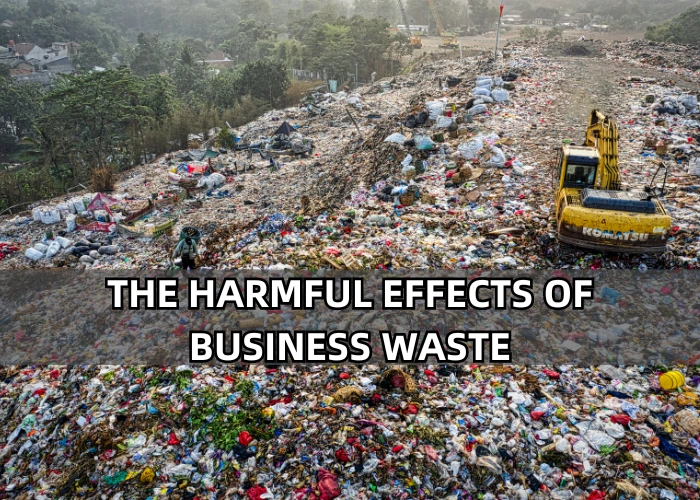 Reduce Waste in Your Organization