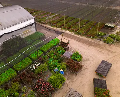 Florida Agriculture Two-Way Radios