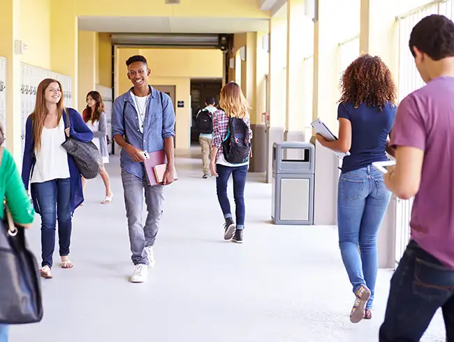 Concealed Weapons Detection Schools